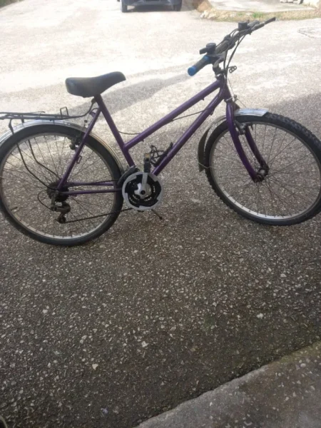 Fier, shes biciklete 100 €