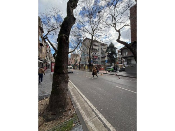 Tirane, jepet me qera ambjent biznesi Kati 0, 33 m² 1.900 € (MYSLYM SHYRI)
