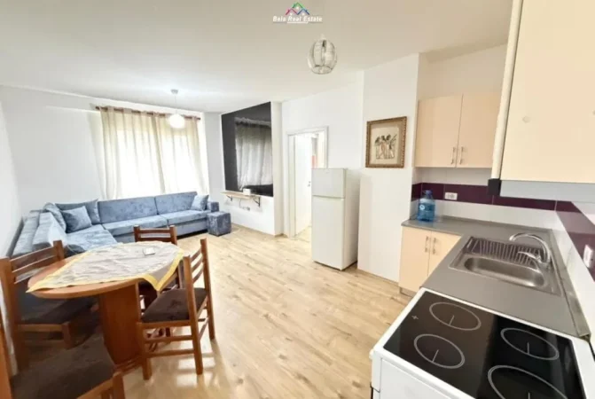Tirane, jepet me qera apartament 1+1 Kati 2, 65 m² 570 € (Rruga Frosina Plaku)