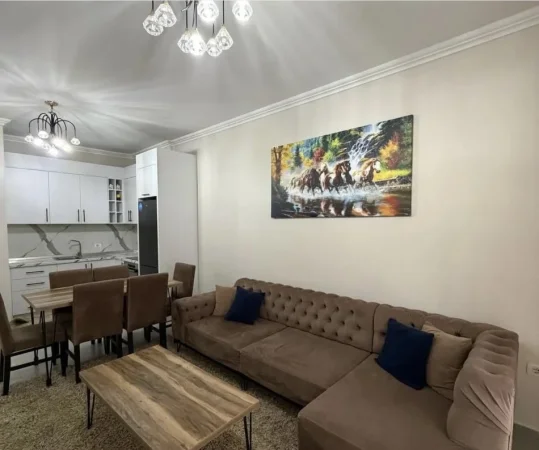 Tirane, ndarje qeraje me vajze apartament 2+1 Kati 7, 550 € 