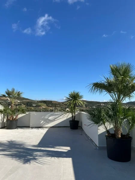 Spille, shitet Vile 3+1+Aneks+Ballkon Kati 2, 350 m²  (Spille,Kavaje)