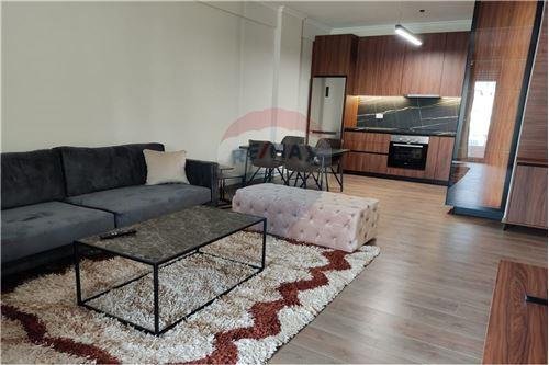 Tirane, jepet me qera apartament 1+1 68 m² 700 Euro (Zogu Zi)