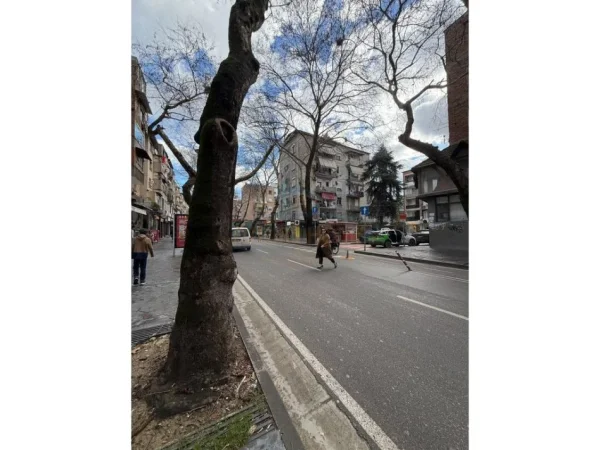 Tirane, jepet me qera ambjent biznesi Kati 0, 33 m² 1.900 € 