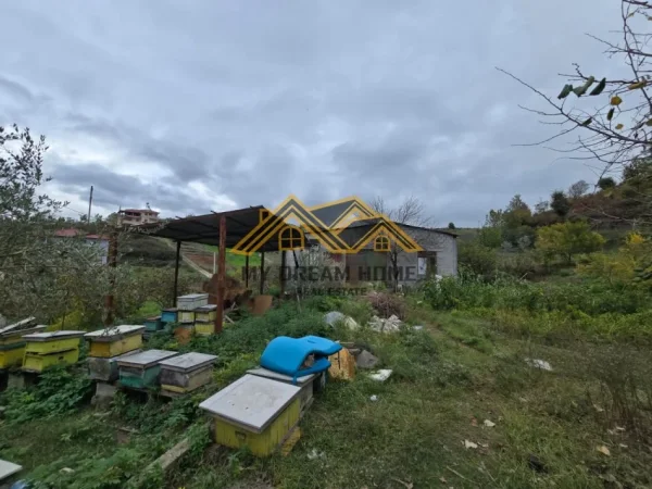 Durres, shitet vetem 1 dhome Kati 1, 1.480 m² 120.000 € (shkallnur)