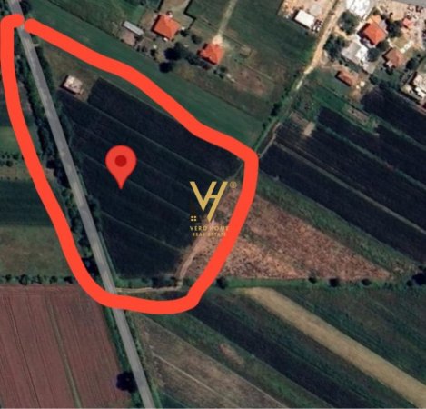 Tirane, shitet toke , 8.600 m² 360.000 € (THUMANE)