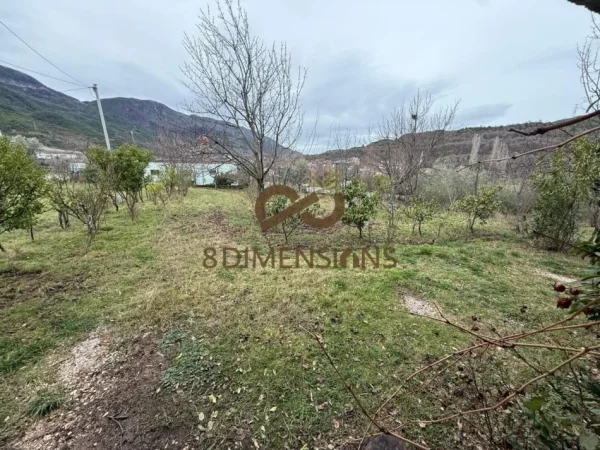 Tirane, shitet shtepi 3+1 Kati 0, 394 m² 400.000 € (berzhite)