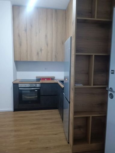 Tirane, jepet me qera apartament 1+1+Aneks+Ballkon Kati 2, 54 m² 450 € (fresk)