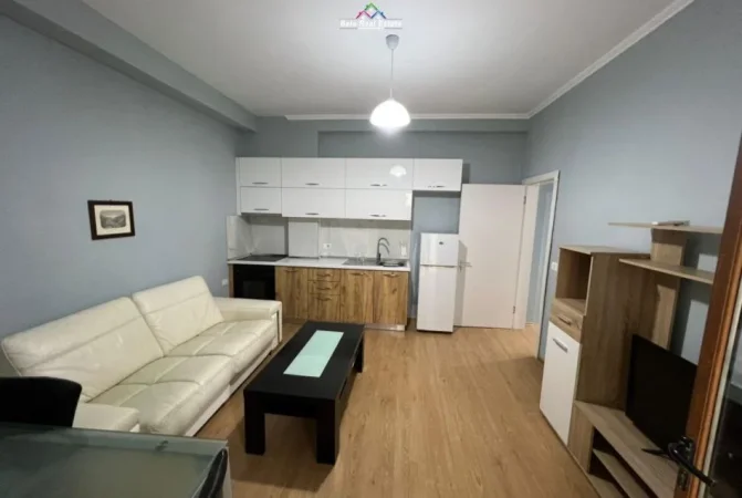 Tirane, jepet me qera Vile 1+1+Ballkon Kati 2, 60 m² 520 € (ALI DEMI)