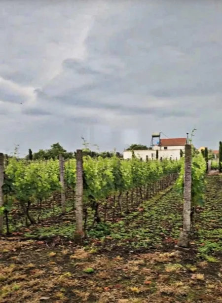 Shkoder, shitet apartament 4+1+Ballkon Kati 2, 280.000 € 