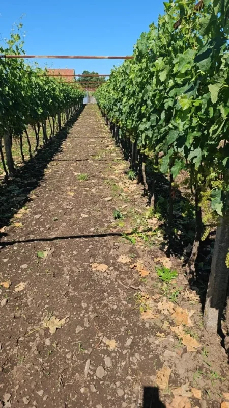 Shkoder, shitet apartament 4+1+Ballkon Kati 2, 280.000 € 