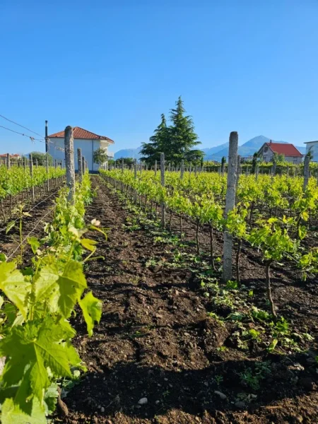 Shkoder, shitet apartament 4+1+Ballkon Kati 2, 280.000 € 