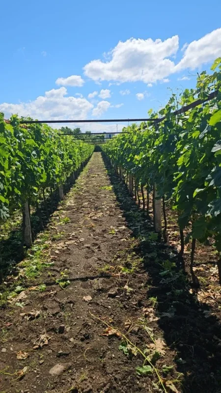 Shkoder, shitet apartament 4+1+Ballkon Kati 2, 280.000 € 