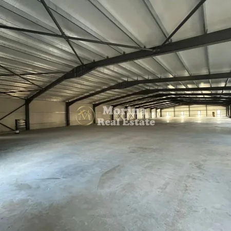 Tirane, jepet me qera ambjent biznesi Kati 2, 3.000 m² 20.000 € (Rruga e Arbrit)