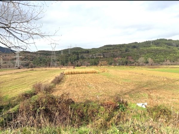 Tirane, shitet toke , 1.600 m² 