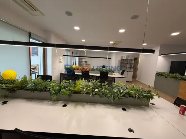 Tirane, jepet me qera zyre , 180 m² 3.000 € (Delijorgji)