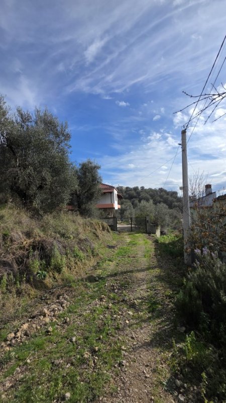 Lushnje, shitet toke , 550 m² 