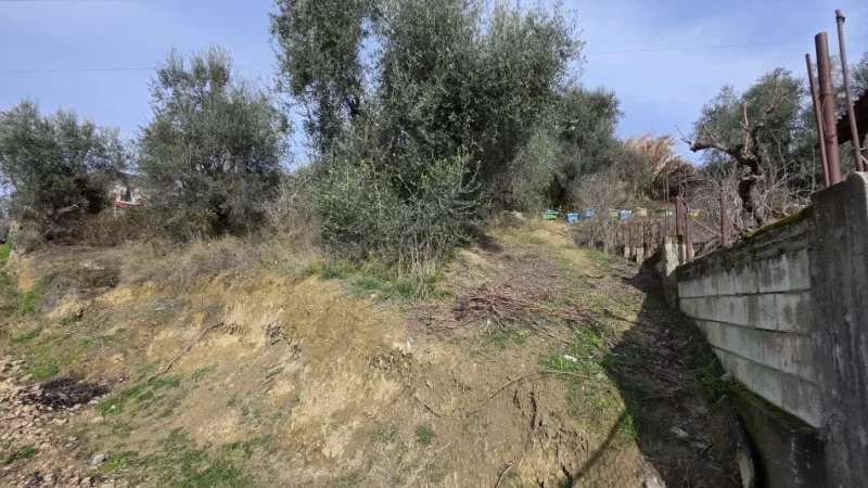 Lushnje, shitet toke , 550 m² 