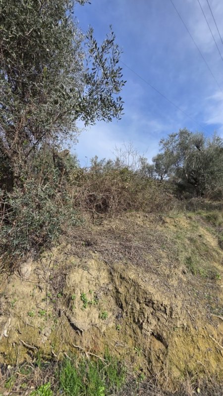 Lushnje, shitet toke , 550 m² 