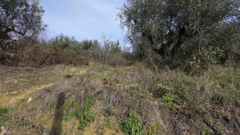 Lushnje, shitet toke , 550 m² 