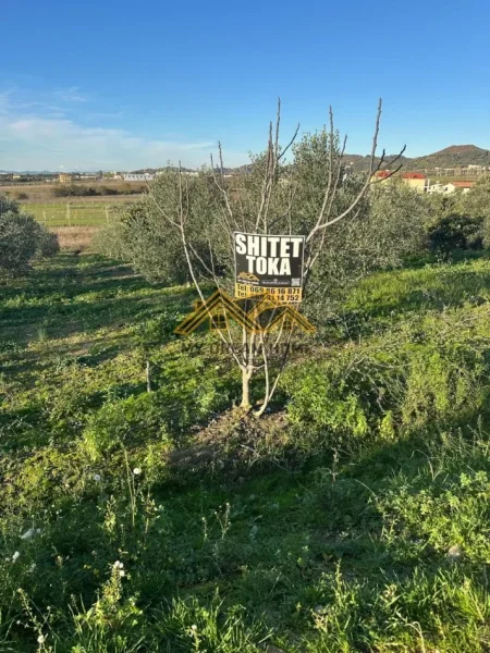 Durres, shitet , 6.350 m² 150.000 € (manez)