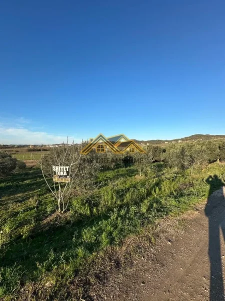 Durres, shitet , 6.350 m² 150.000 € (manez)