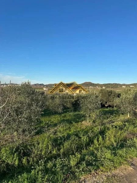 Durres, shitet , 6.350 m² 150.000 € (manez)