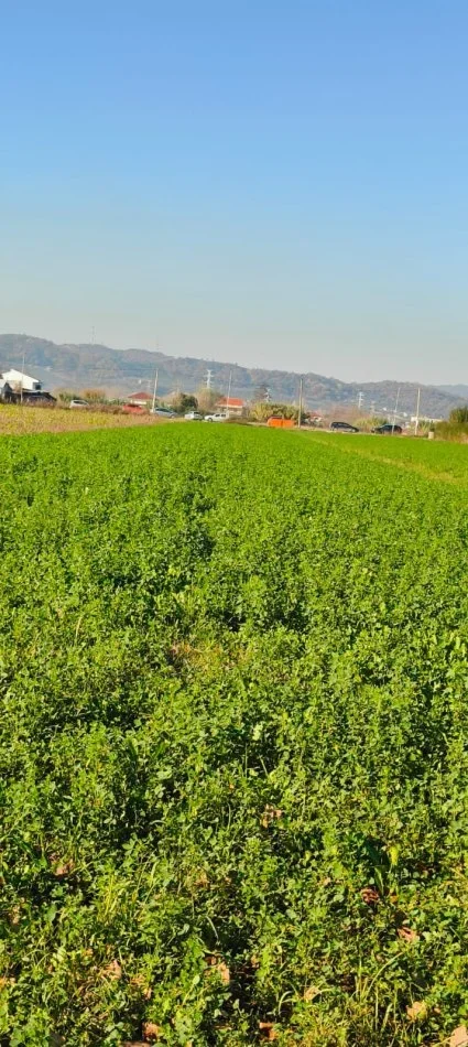 Tirane, shes toke bujqesore , 8.000 m² 400.000 € 