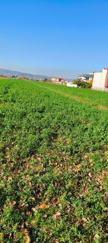 Tirane, shes toke bujqesore , 8.000 m² 400.000 € 