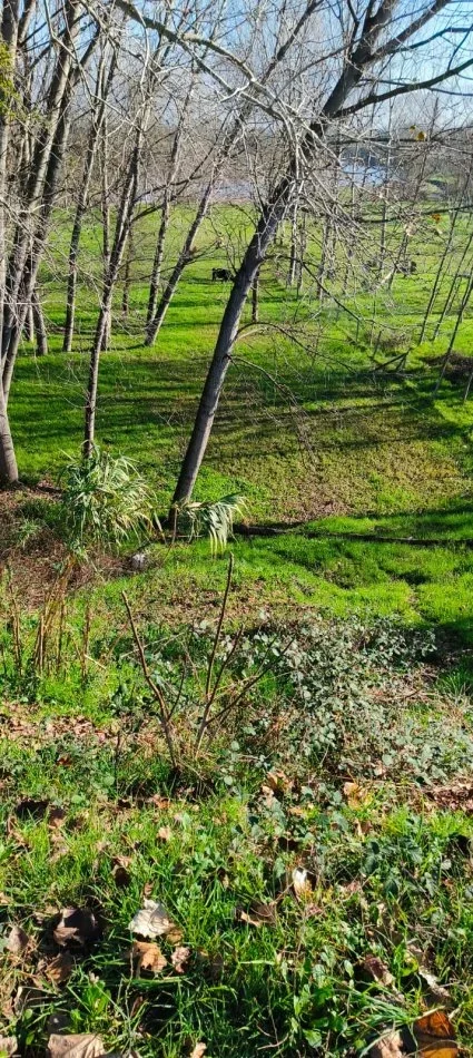 Tirane, shes toke bujqesore , 8.000 m² 400.000 € 