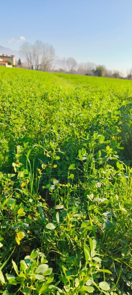 Tirane, shes toke bujqesore , 8.000 m² 400.000 € 