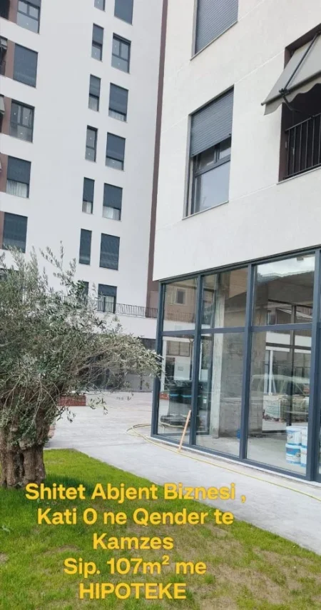Tirane, shitet ambjent biznesi Kati 0, 107 m² 267.000 € (Bulevardi Blu)