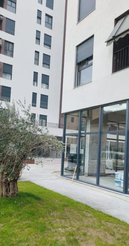 Tirane, shitet ambjent biznesi Kati 0, 107 m² 267.000 € (Bulevardi Blu)