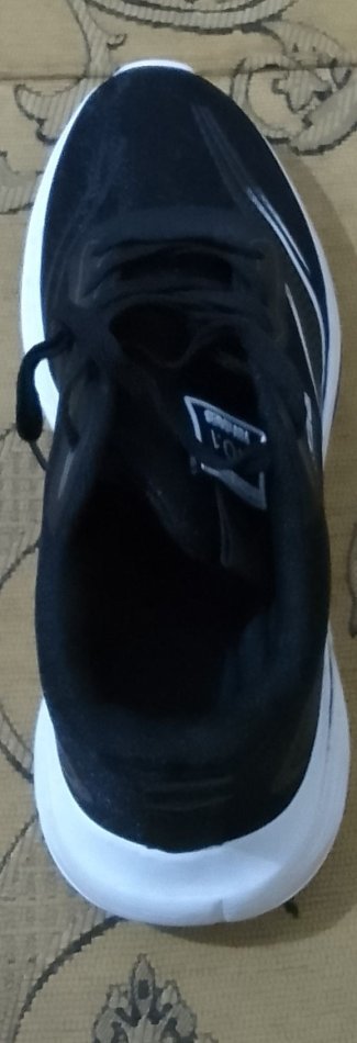 Fier, shes Shiten atlete të reja 19 €