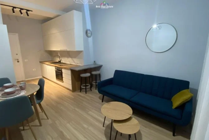 Tirane, jepet me qera apartament 1+1 Kati 2, 65 m² 620 € (21 dhjetori)