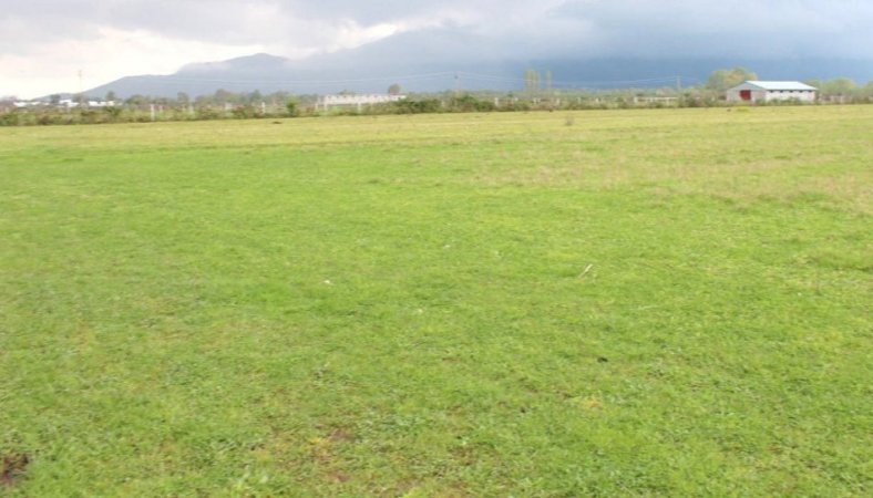 shitet toke , 1.000 m² 149.000 € (Shes 1000 m2 toke ne Borsh Sarande.)