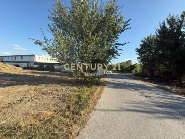 Tirane, truall , 5.000 m² 390.000 € (Berxulle)