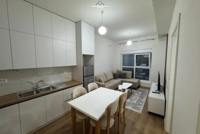 Tirane, jepet me qera apartament 1+1 Kati 1, 50 m² 450 € (mangalemi)