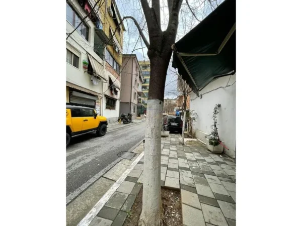 Tirane, jepet me qera ambjent biznesi Kati 0, 54 m² 600 € (rruga e durresit)