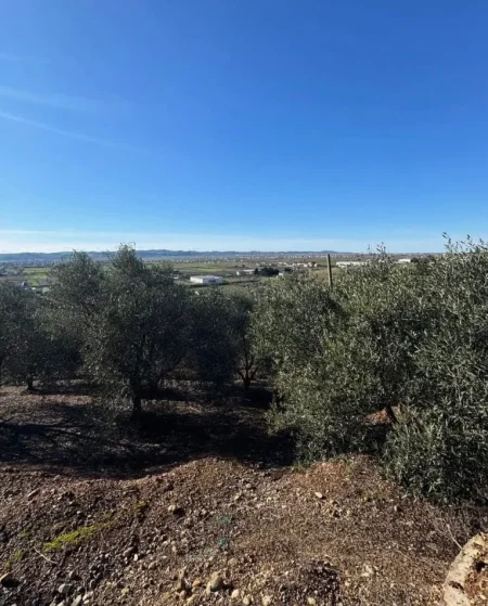 Kavaje, shitet toke bujqesore , 7.680 m² 110.000 € (Harizaj,Kavaje)