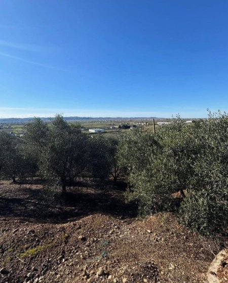 Kavaje, shitet toke bujqesore , 7.680 m² 110.000 € (Harizaj,Kavaje)