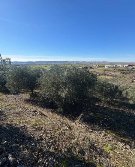 Kavaje, shitet toke bujqesore , 7.680 m² 110.000 € (Harizaj,Kavaje)