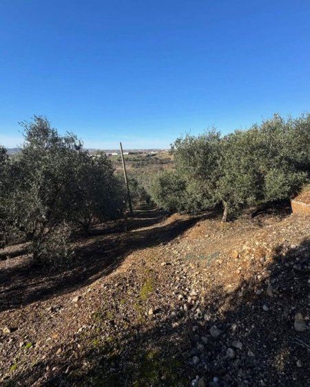 Kavaje, shitet toke bujqesore , 7.680 m² 110.000 € (Harizaj,Kavaje)