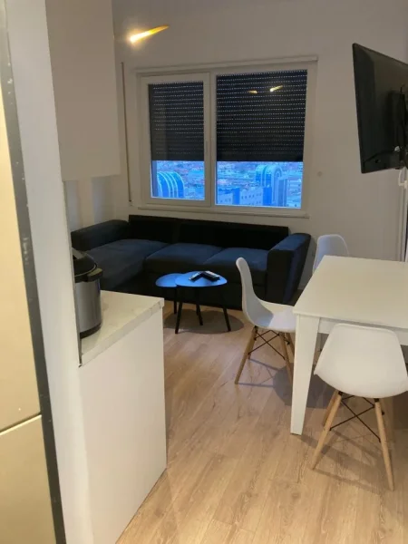 Tirane, jepet me qera apartament 1+1+Ballkon kat 9, me 449€/muaj, Birra Tirana (Rruga Bedri Karapici)