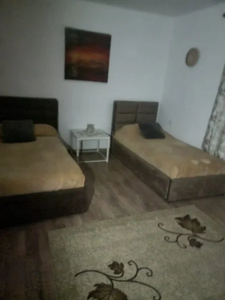 Tirane, jepet me qera shtepi 1+1+Ballkon Kati 1, 67 m² 350 € (ne rrugen Vangjel Capo Tirane)
