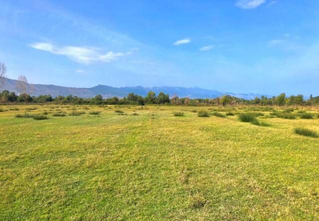 Shkoder, shes toke 13.800 m² 138.000 Euro