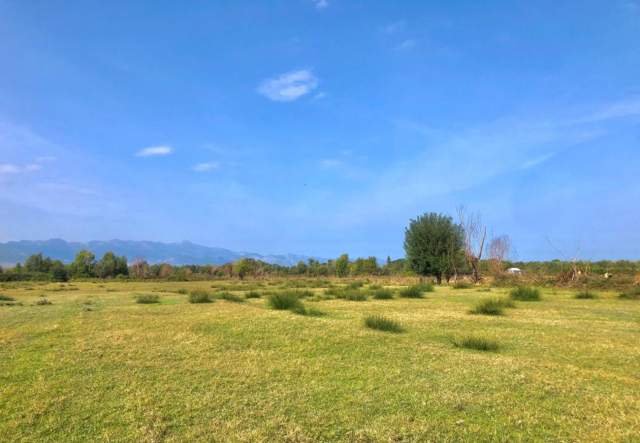 Shkoder, shes toke 13.800 m² 138.000 Euro