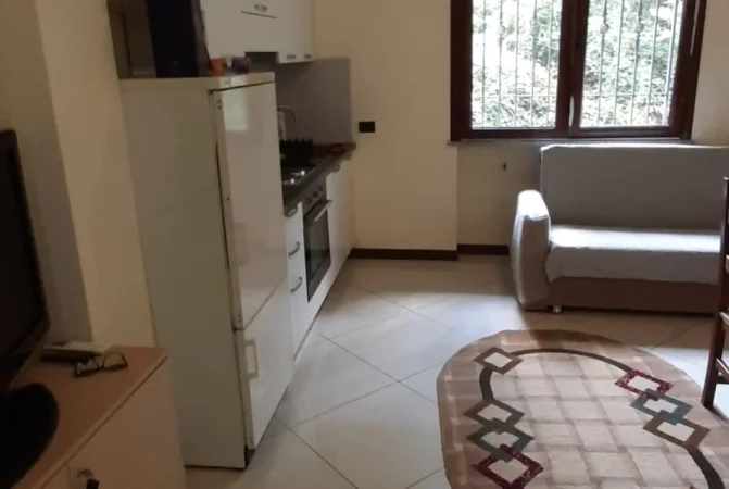 Tirane, jepet me qera garsonier 1+1 Kati 1, 36 m² 310 € (Rruga aleksander Moisiu)