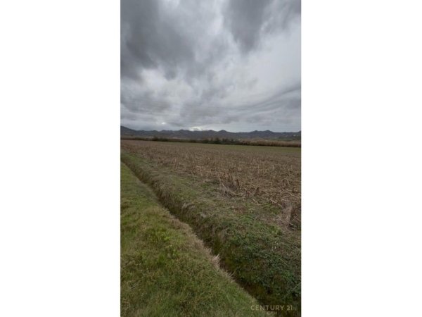 Tirane, shes toke , 7.500 m² 562.500 € 