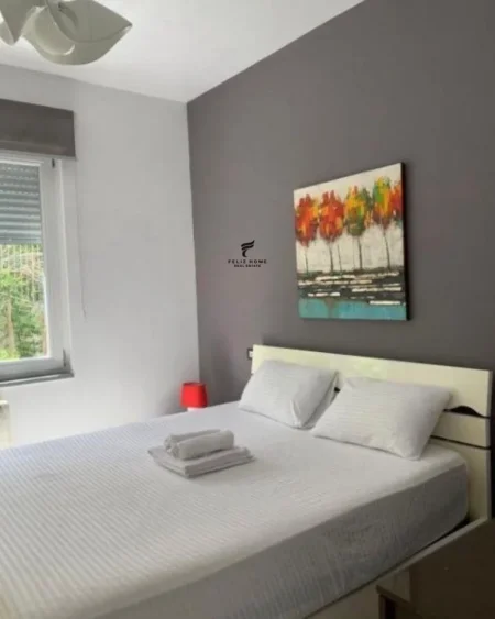 Tirane, jepet me qera apartament 1+1 Kati 3, 85 m² 600 € (SELITE E VJETER)