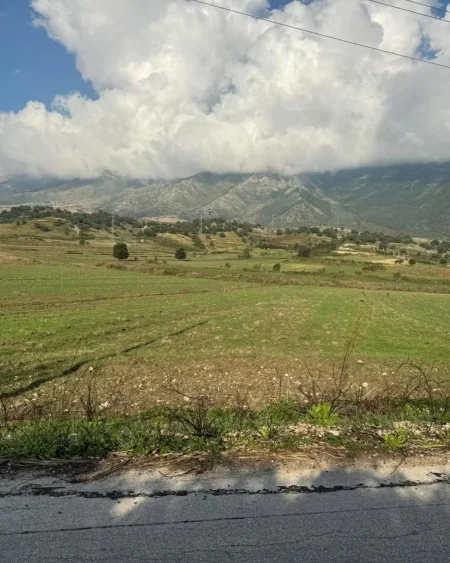 Vlore, shitet toke bujqesore , 9.000 m² 